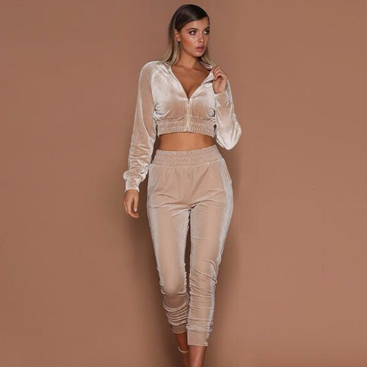 Summer Autumn Two Pieces Set Hoodie Top And Pant Tracksuit Women Set Elastic Waist Leisure 2 Piece Set Women Outfits - LiveTrendsX