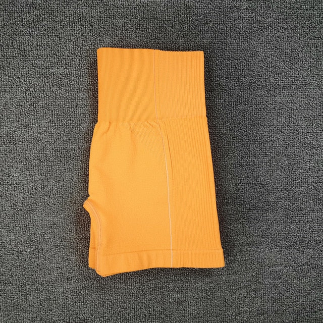 Seamless Sport Set Women Yoga Gym Wear - LiveTrendsX