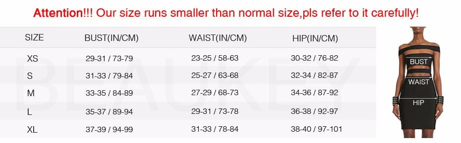 Puff Sleeve Club Mesh Dress Lovely