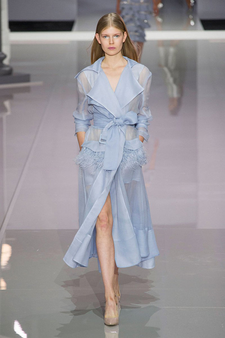 Summer European Runway Women Sexy Organza Through Trench Dress