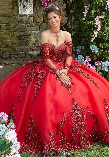 Ball Gown Sweet 16 Quinceanera Dresses Lace Sweep Train Organza Vestidos De 15 Anos Girls Robe Long Sleeves - LiveTrendsX