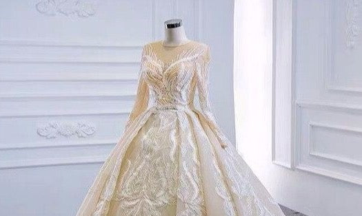 Light Champagne Beading Dubai Winter Composite Lace High-end Wedding Dress 2020 Sexy Luxury Sparkle Bridal Gown Real Photos - LiveTrendsX