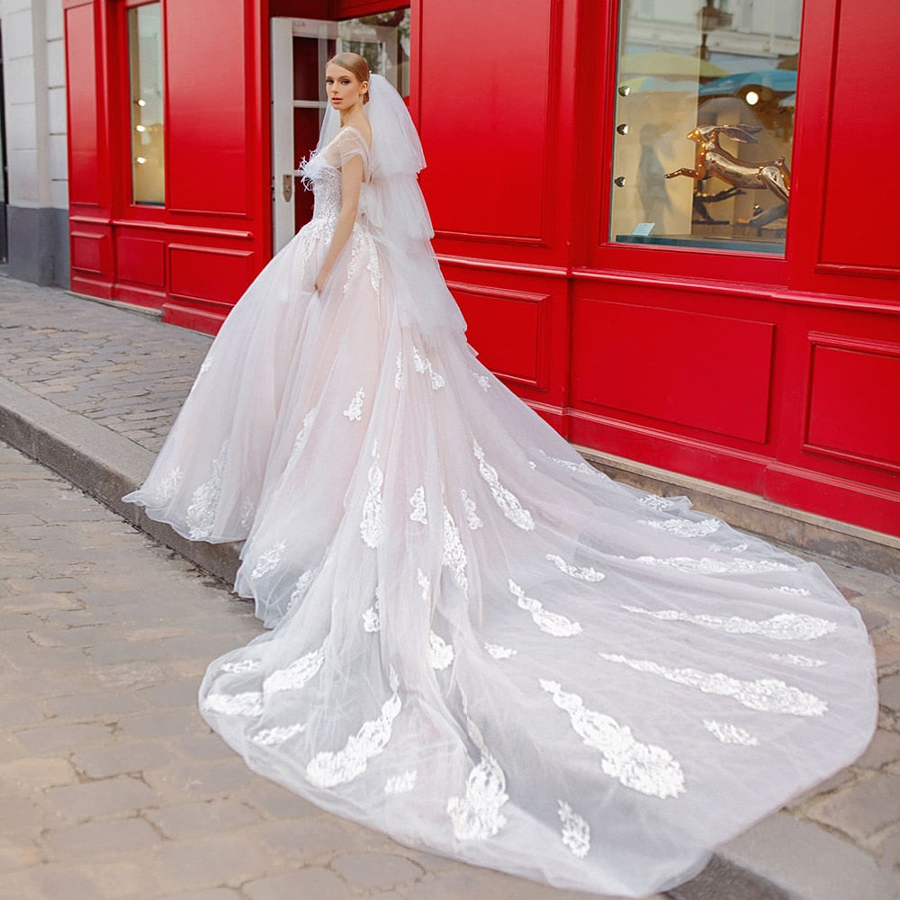 Beading Appliques Feathers Princess Ball Gown Wedding Dresses Plus Size - LiveTrendsX