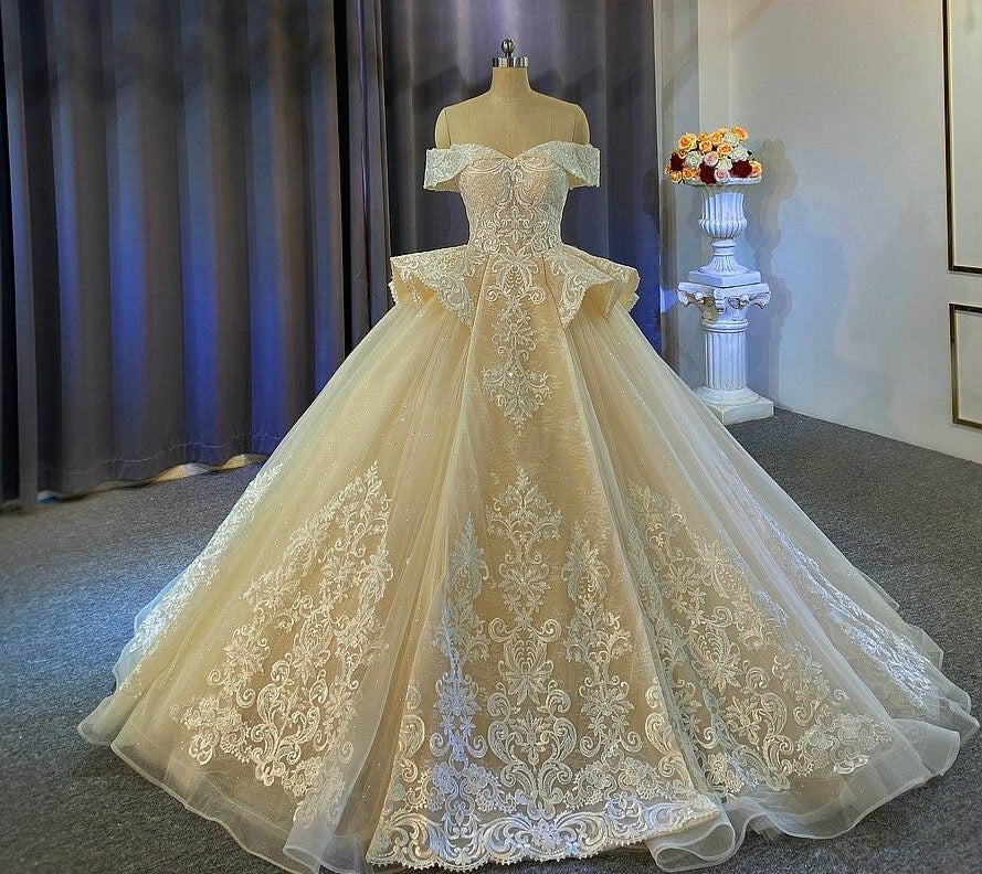 Off the shoulder lace wedding dress with good price without train - LiveTrendsX