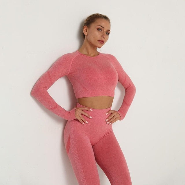 Women Seamless Yoga Set Fitness Sports Suits Gym Clothing - LiveTrendsX